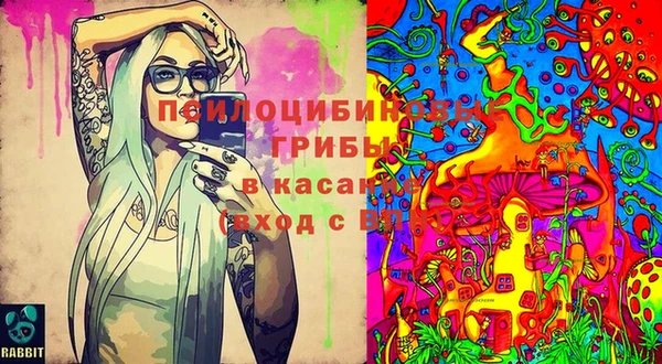 индика Покачи