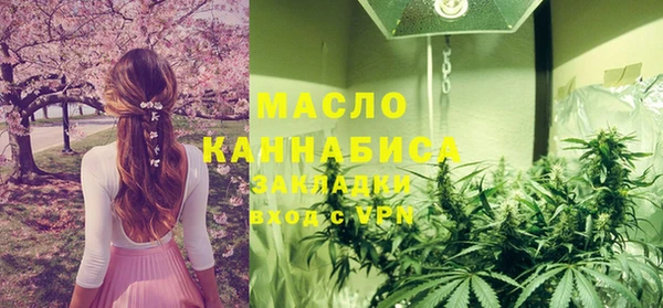 индика Покачи