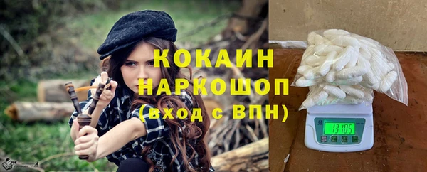 индика Покачи