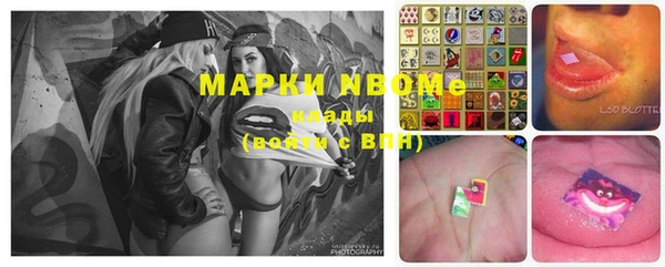 сатива Покров