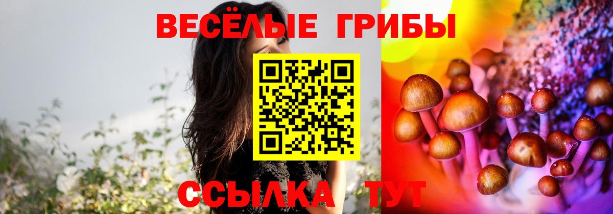 Псилоцибиновые грибы прущие грибы  Галлюциногенные грибы Psilocybine cubensis  Белая Калитва  что такое наркотик  Вход с VPN 